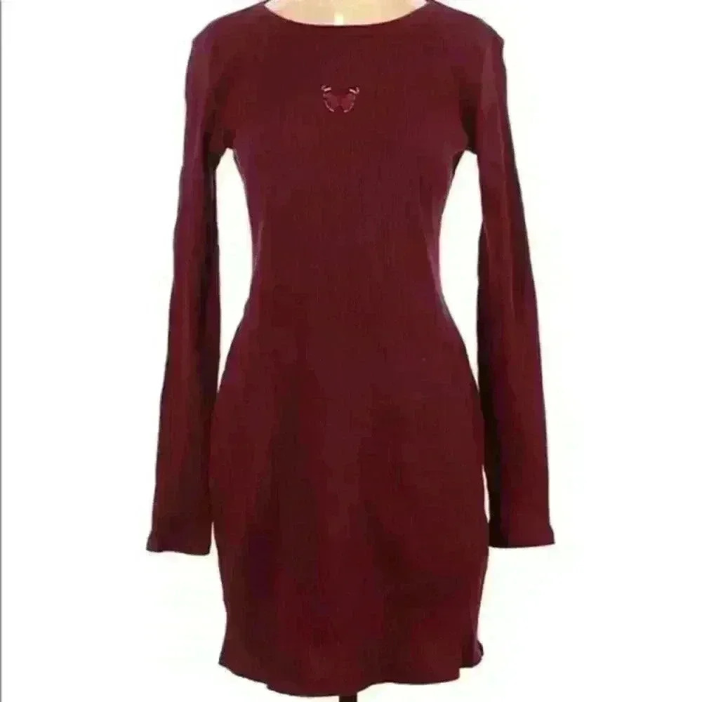 NWOT Wild Fable long sleeve bodycon dress